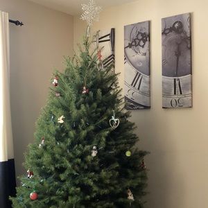 Meet your Posher, Christina